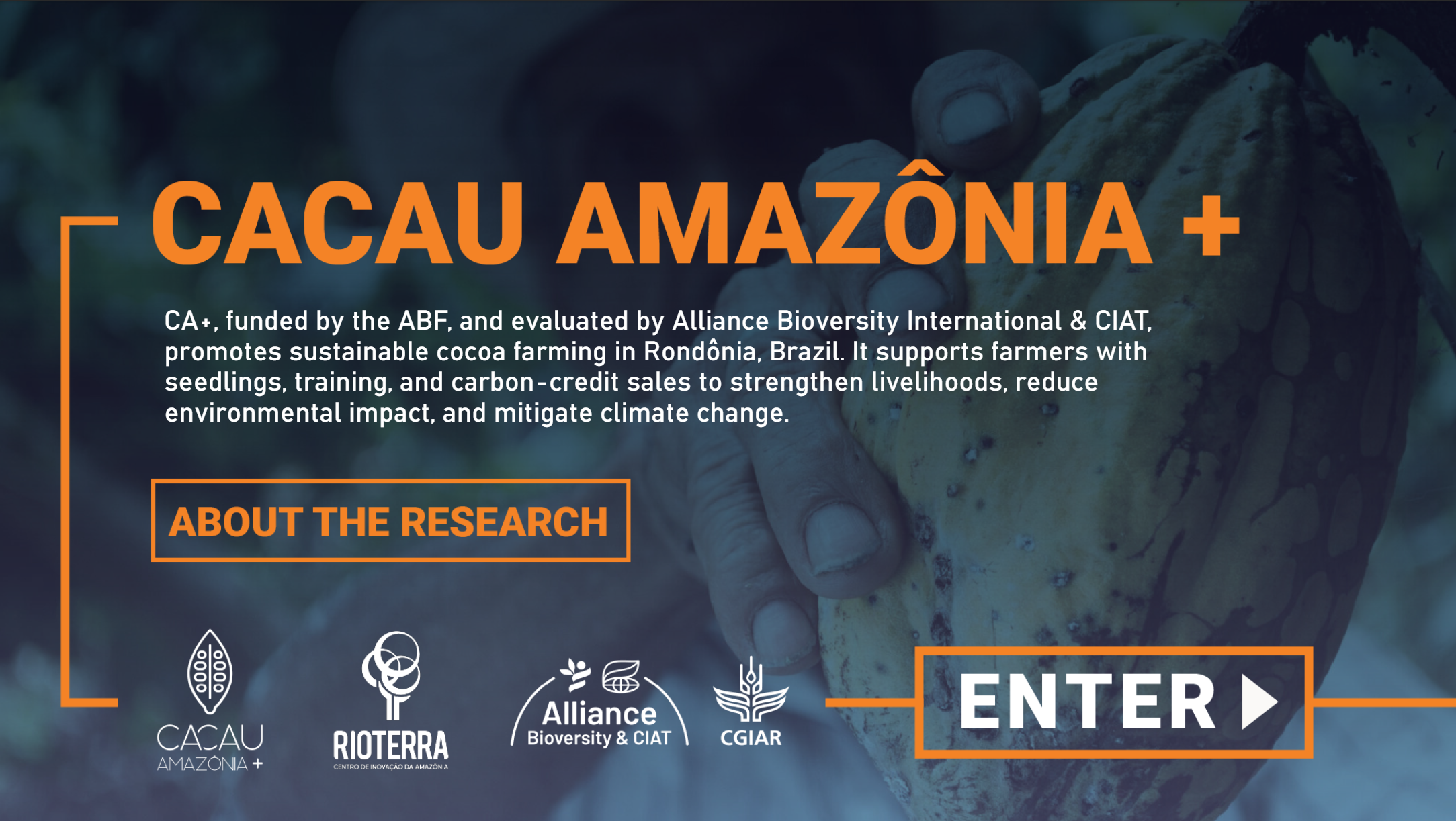 Cacau Amazônia+